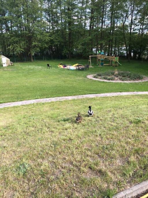Penthouse Bernd Im Waldschloesschen Direkt Am See Вендиш Риц Екстериор снимка