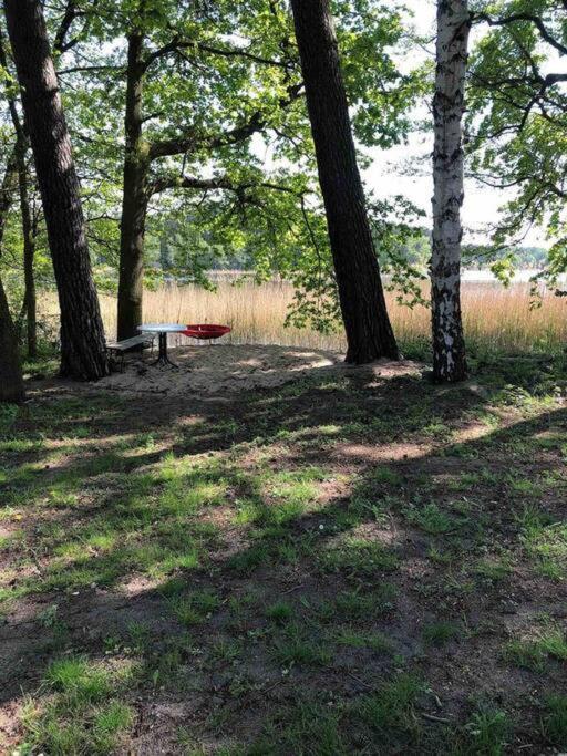 Penthouse Bernd Im Waldschloesschen Direkt Am See Вендиш Риц Екстериор снимка